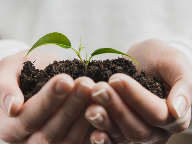 Gestão Ambiental