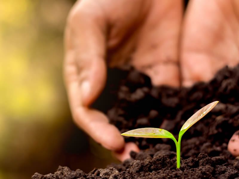 Engenharia Ambiental e Sanitária